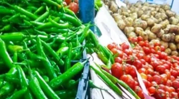 أسعار الخضراوات في الأقصر ثابتة اليوم 7 ديسمبر 2025